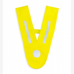 V-Vest