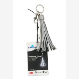 3M Tassel silver small, Salzmann